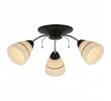 Потолочная люстра TopLight Winnifred TL1255D-03BC