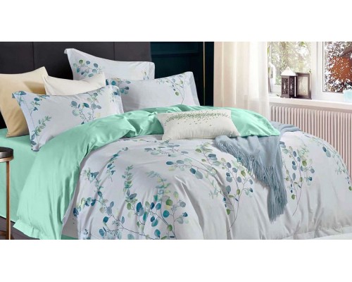Постельное белье евростандарт №271 Кастель