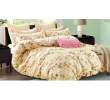 Постельное белье евростандарт C-300