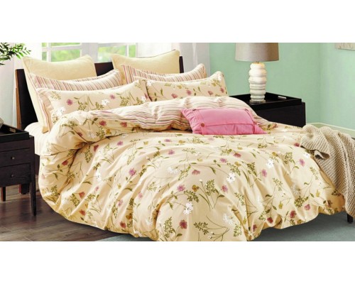 Постельное белье евростандарт C-300