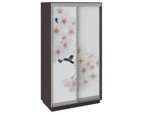 Шкаф-купе Румер