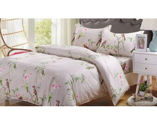 Постельное белье евростандарт AP-02