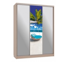 Шкаф-купе Бассо 9-600 77