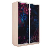 Шкаф-купе Экспресс Фото дуо 1004 1200x600x2200