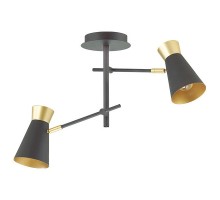 Светильник на штанге Lumion Liam 3790/2C