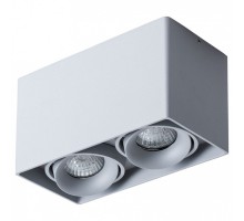 Накладной светильник Arte Lamp Pictor A5654PL-2GY