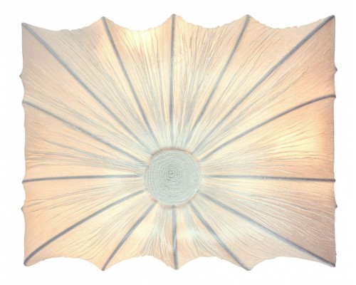 Накладной светильник ST-Luce Tela