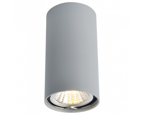 Накладной светильник Arte Lamp 1516 A1516PL-1GY