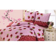 Постельное белье евростандарт П-10