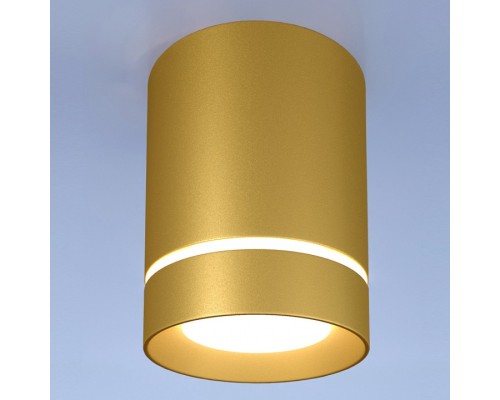 Накладной светильник Elektrostandard DLR021 a049492