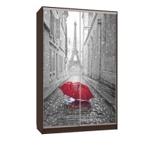 Шкаф-купе Гранд 7-600 08