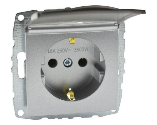 Розетка с заземлением без рамки с крышкой Mono Electric Despina / Larissa 500-002121-118