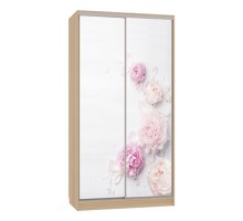 Шкаф-купе Рио 7-600 17