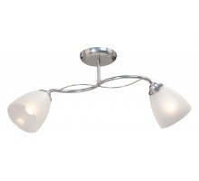 Светильник на штанге Vitaluce  V3947-9/2PL