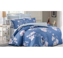 Постельное белье евростандарт Вальтери С