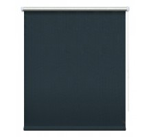 Штора рулонная (48x175 см) Сильвер