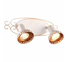 Спот Arte Lamp Focus A5219AP-2WG