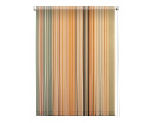 Штора рулонная (90x175 см) Спектр