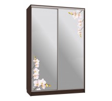 Шкаф-купе Рио 4-600 орхидеи