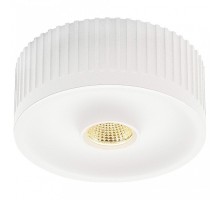 Накладной светильник SLV Occuildas 117381