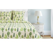 Постельное белье двуспальное Кактусы