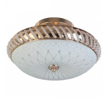 Светильник на штанге TopLight Loreen TL1490Y-03GC