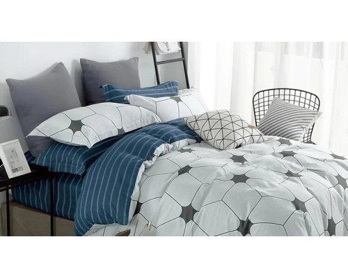 Постельное белье двуспальное №301 Champion