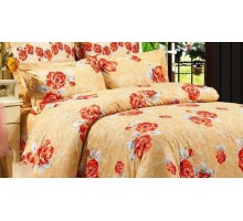 Постельное белье евростандарт B-73