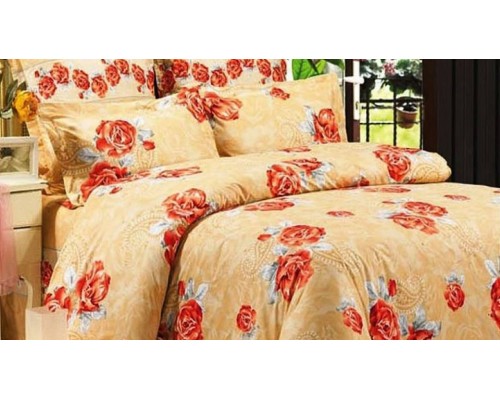 Постельное белье евростандарт B-73