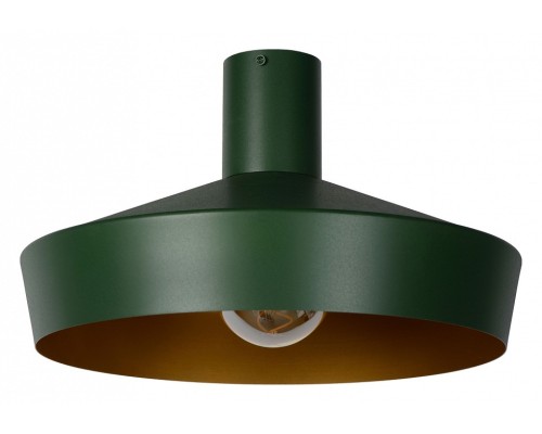 Светильник на штанге Lucide Cardiff 30187/40/33