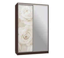 Шкаф-купе Рио 9-600 розы