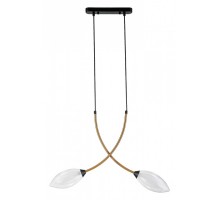 Подвесной светильник Indigo Fiore 13001/2P Black