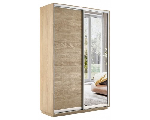 Шкаф-купе Экспресс Медиум дуо