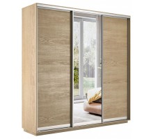 Шкаф-купе Экспресс Медиум