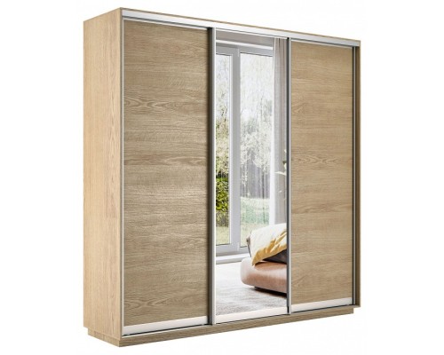 Шкаф-купе Экспресс Медиум