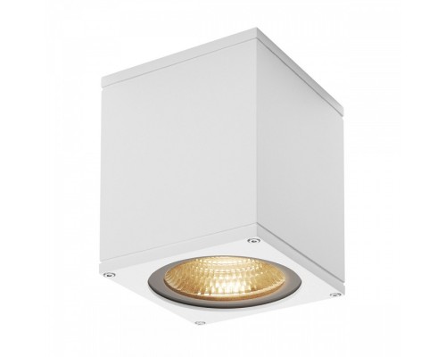 Накладной светильник SLV Big Theo 234521