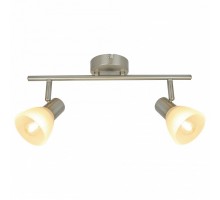 Спот Arte Lamp Parry A5062AP-2SS