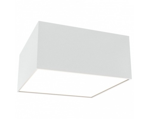 Накладной светильник Maytoni Zon C067CL-L12W4K