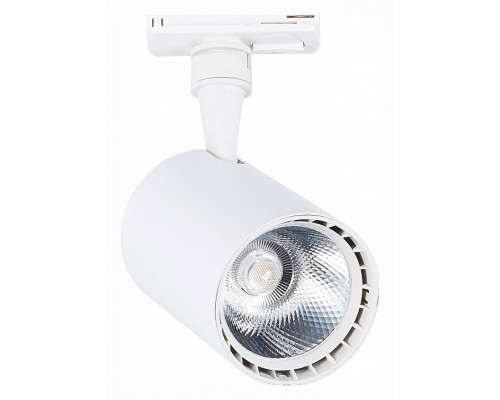 Светильник на штанге ST-Luce Cami