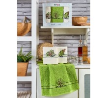 Набор из 3 полотенец для кухни MIMOZA ZEYTIN