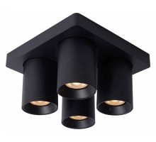 Спот Lucide Nigel 09929/20/30