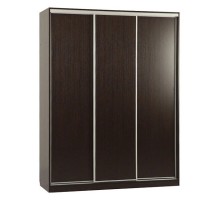 Шкаф-купе Бассо 5-600