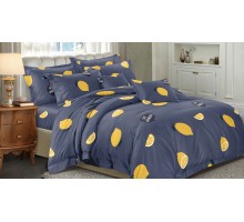 Постельное белье евростандарт Art Color 066-AC