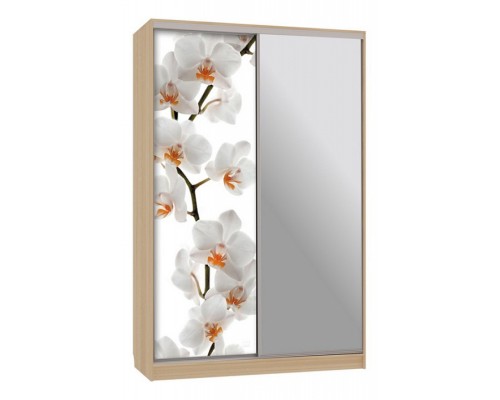 Шкаф-купе Гранд 9-600 83