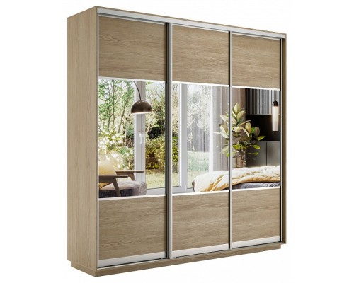 Шкаф-купе Экспресс Комби трио