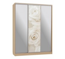 Шкаф-купе Бассо 9-600 розы