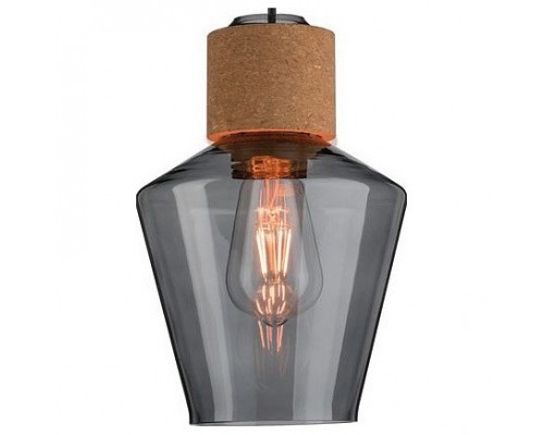 Подвесной светильник Paulmann Edla 79740