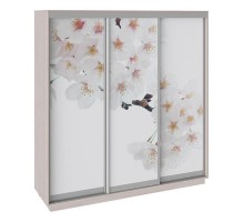 Шкаф-купе Румер СШК 1.210.70-35