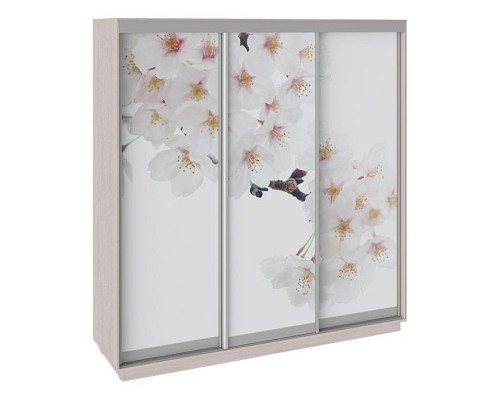 Шкаф-купе Румер СШК 1.210.70-35