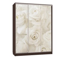 Шкаф-купе Бассо 7-600 розы